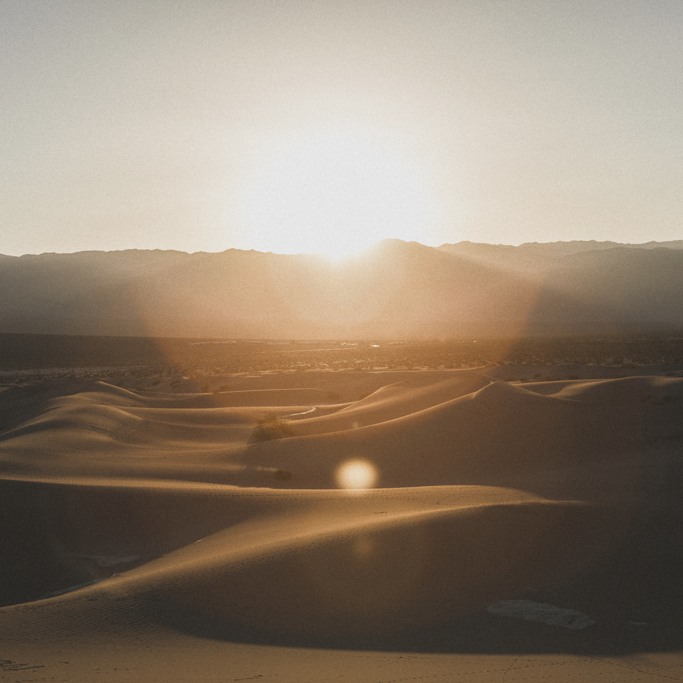 Desert and sunrise